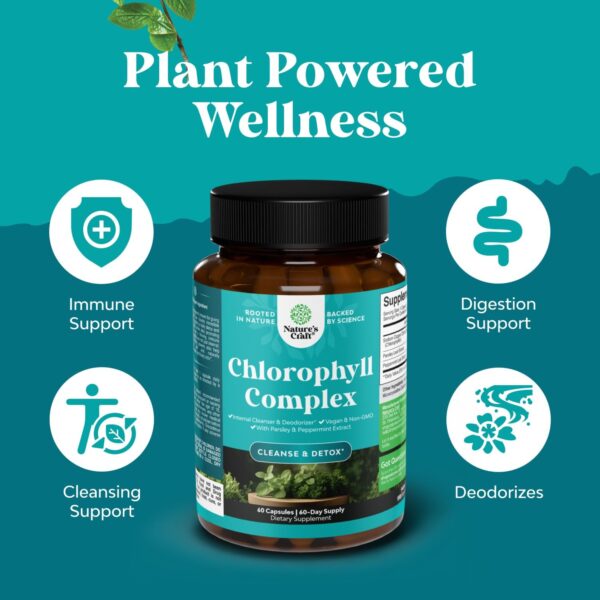 Chlorophyll Capsules for Cleanse and Detox Support - Internal Deodorant Pills for Body Odor with Mint - Image 2