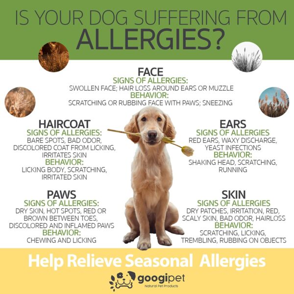 Googipet Dog Allergy Chews, Dog Allergy Relief & Itchy Skin Relief, Skin & Coat Supplement +Bee Pollen - Image 4