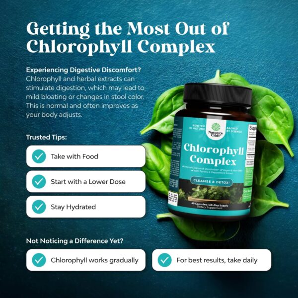 Chlorophyll Capsules for Cleanse and Detox Support - Internal Deodorant Pills for Body Odor with Mint - Image 4