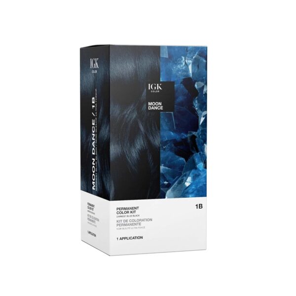 Hair Color Kit | 1B Moon Dance - Darkest Blue Black |100% Gray Color Coverage + Strengthen + Shine