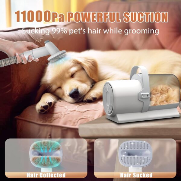 Dog Grooming Vacuum, Pet Vacuum Grooming Kit,11000Pa Powerful Dog Hair Vacuum, 2.5L Large Capacity Pet Hair Vacuum -40% - Image 4