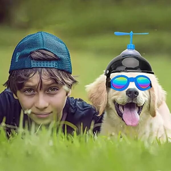 Small Dog Helmet and Goggles Set 2pcs Dog Motorcycle Helmet with Doggy Sunglasses Small Dog Helmet and Goggles Set 2pcs Dog Motorcycle Helmet with Doggy Sunglasses -19% $16.99 Typical price: $20.99Typical price: $20.99 - Image 3