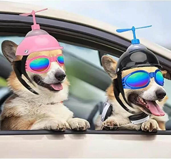 Small Dog Helmet and Goggles Set 2pcs Dog Motorcycle Helmet with Doggy Sunglasses Small Dog Helmet and Goggles Set 2pcs Dog Motorcycle Helmet with Doggy Sunglasses -19% $16.99 Typical price: $20.99Typical price: $20.99 - Image 2