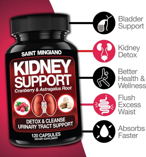 Kidney Support Cleanse Detox & Repair -120 Capsules - Cranberry & Astragalus Root Pills for Women and Men - Image 3