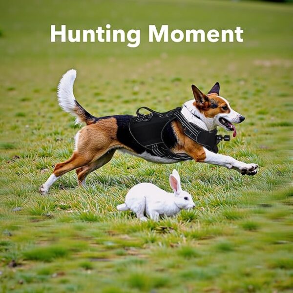 Dog Harness Camera, 1080P Camera with 1.54” Video Playback Function Screen, Record Dog Play -17% - Image 7