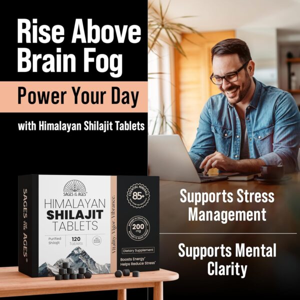 Shilajit Tablets for Men - Gold Grade - No Added Sugar - 120 Dry Drops - Organic - Lab Tested - Image 2